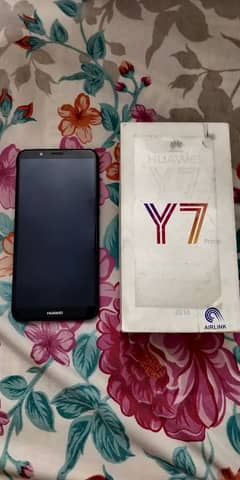 y7