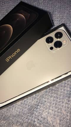 Apple iPhone 12 Pro Max