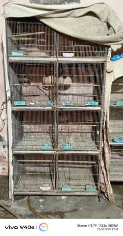 cage's for sell urgent