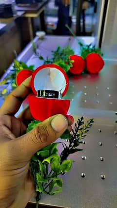 *Customize
