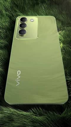 vivo