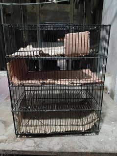 4 portion phatki new