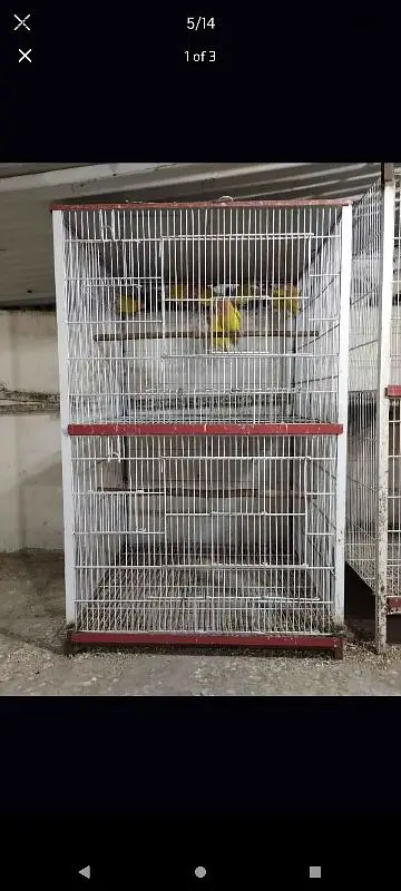 cage for sale