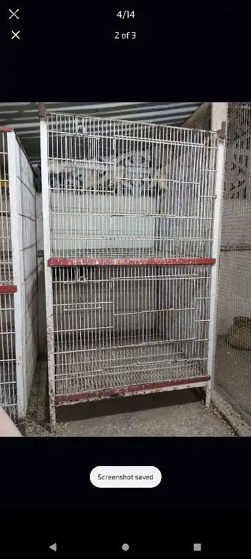 cage for sale — photo 2
