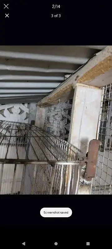 cage for sale — photo 3