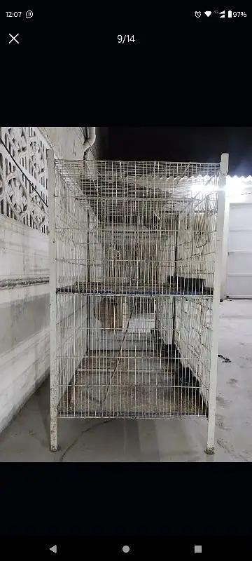 cage for sale — photo 6