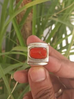 Marjan Ring