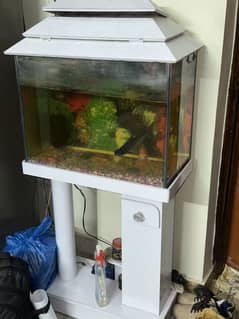 aquarium