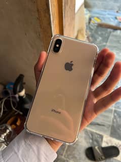 iPhone XS Max approved
