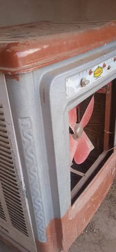 cooler