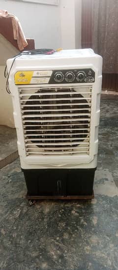 12 volt ac cooler