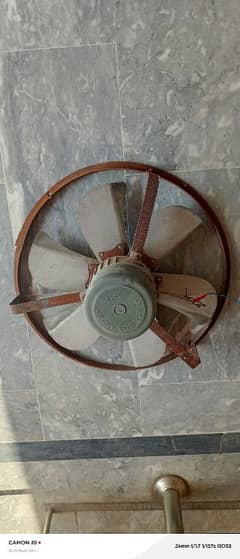 exist fan