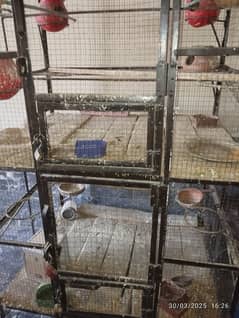 Cage