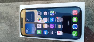 Apple iPhone 14
