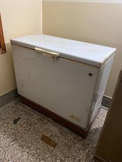 Full size D freezer