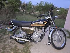 Honda 125 Gold