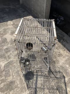 Birds cage