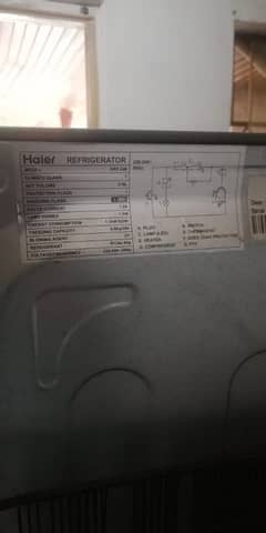 Hair Model HRF-246