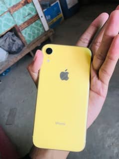 Iphone Xr color Yellow