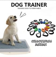 DOG TRAINER