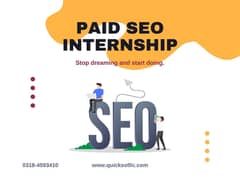 Paid SEO internship for the night shift