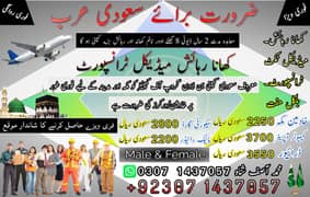 Driver jobs , Rider Jobs , Company Work permit Visa , Jobs in saudia