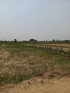 FARM
