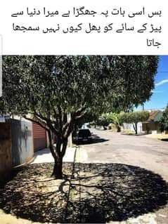 M3
