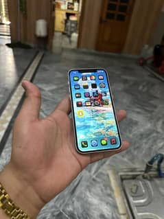 Iphone 12 pta approved