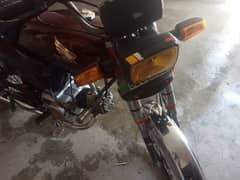 kana kacha