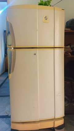 Used