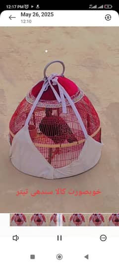 سندھی
