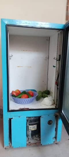 Small Size Single door frig