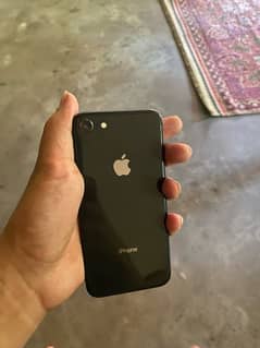 Iphone 8