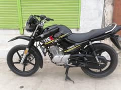 Yamaha