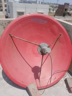 Dish