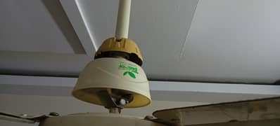ceiling