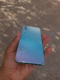 vivo