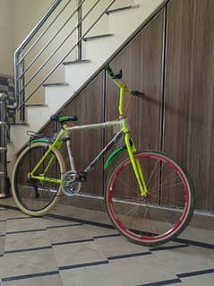new cucal
