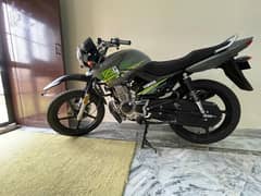 YBR