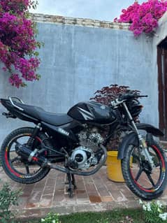 YBR 125