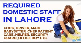 Required Cook Maid Guard Babysitter Chef Patient Attendant Cleaner