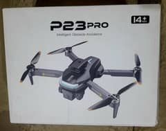 P23