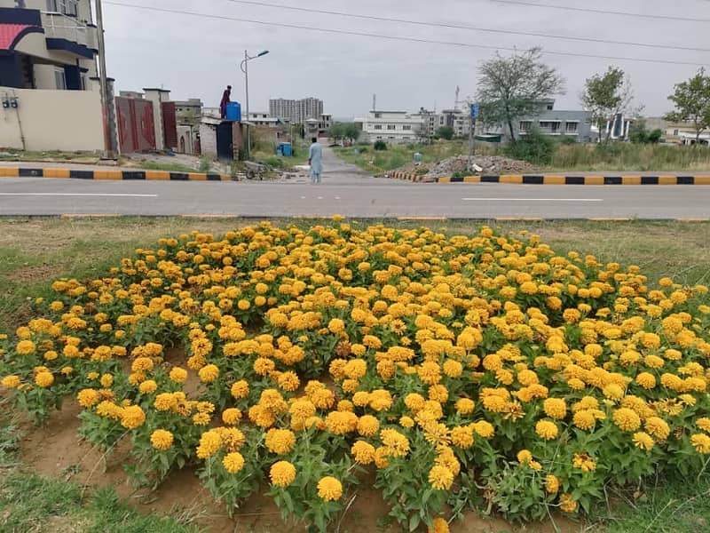 320 Sq Yd Plot For Sale in Block C B-17 6