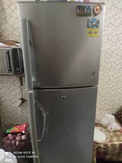 Pel Fridge