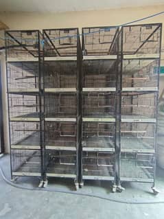 4 Cages good condition available