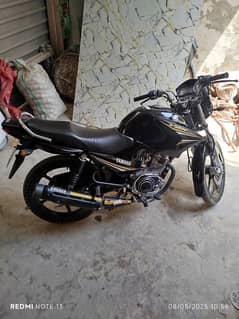 Ybr 125