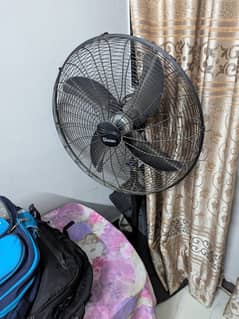 orient full size fan