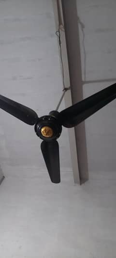 Ceeling fan for sale 220 volt