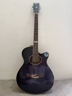 Tagima Semi Acoustic Guitar